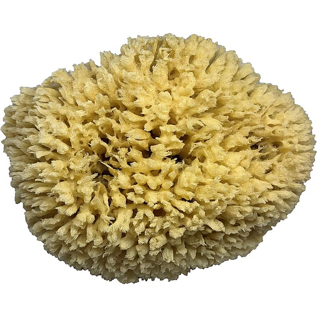 Armaly 46000 ProPlus Medium Duty Sponge For Multi-Purpose 1 pc