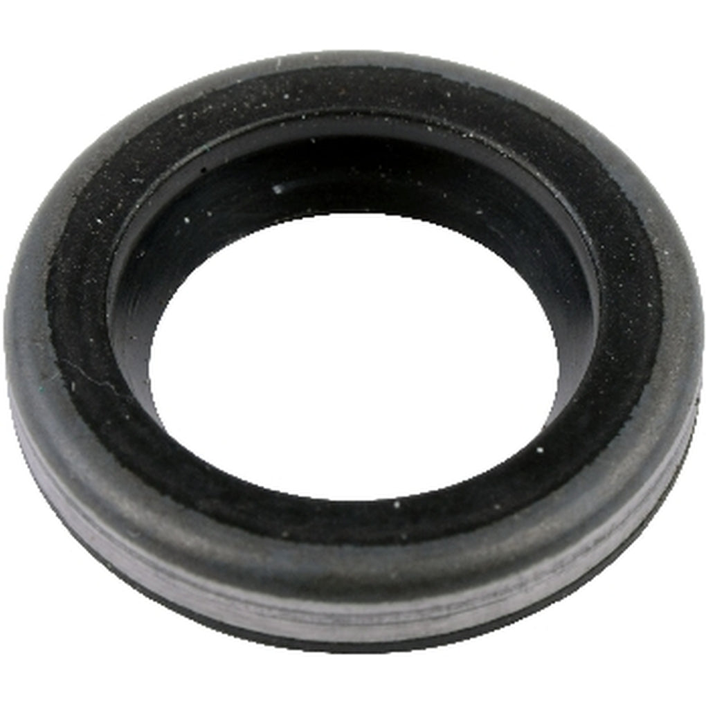 SKF 10181 Grease Seal