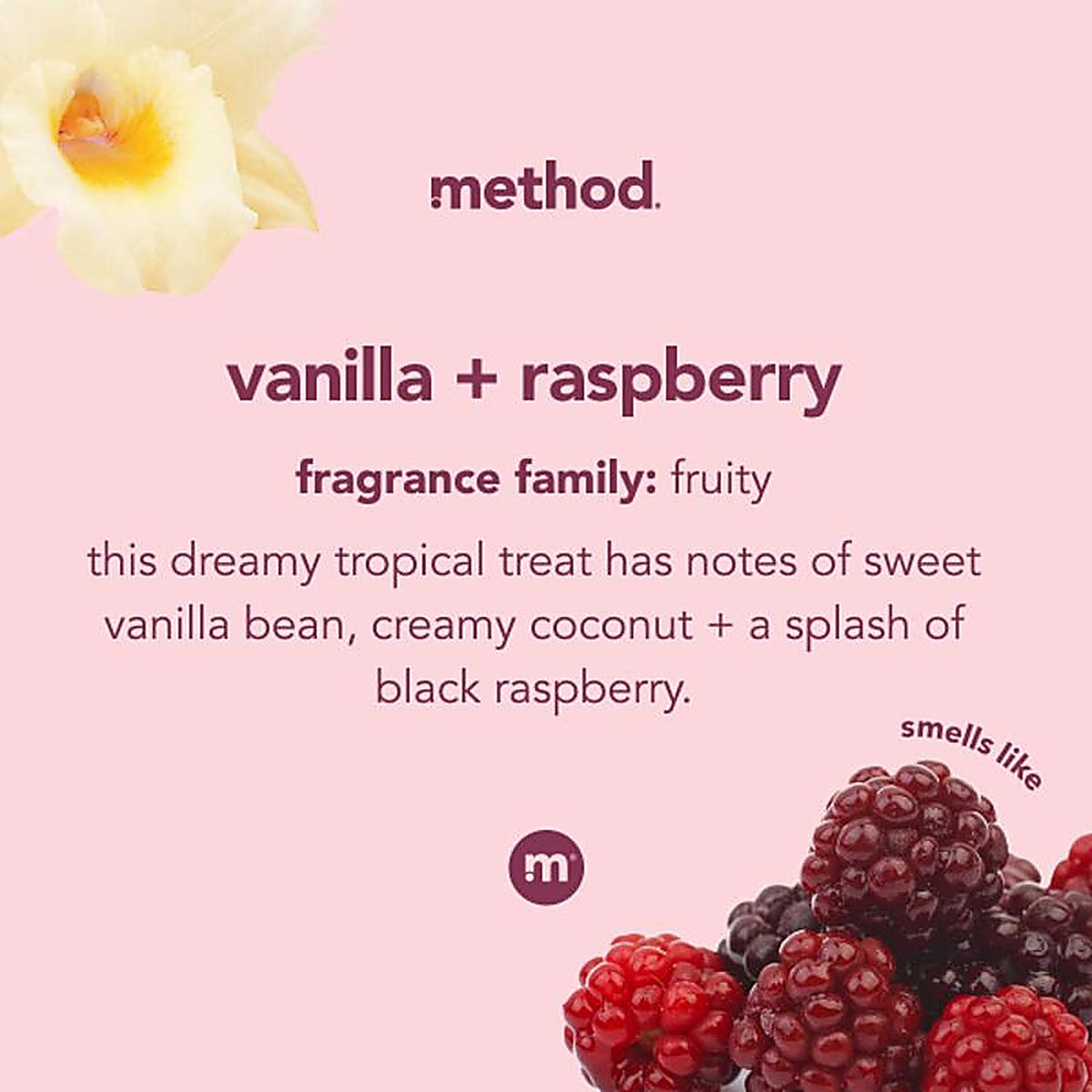 Method 327629 Premium Vanilla & Raspberry Scent Antibacterial Gel Hand Wash 12 oz
