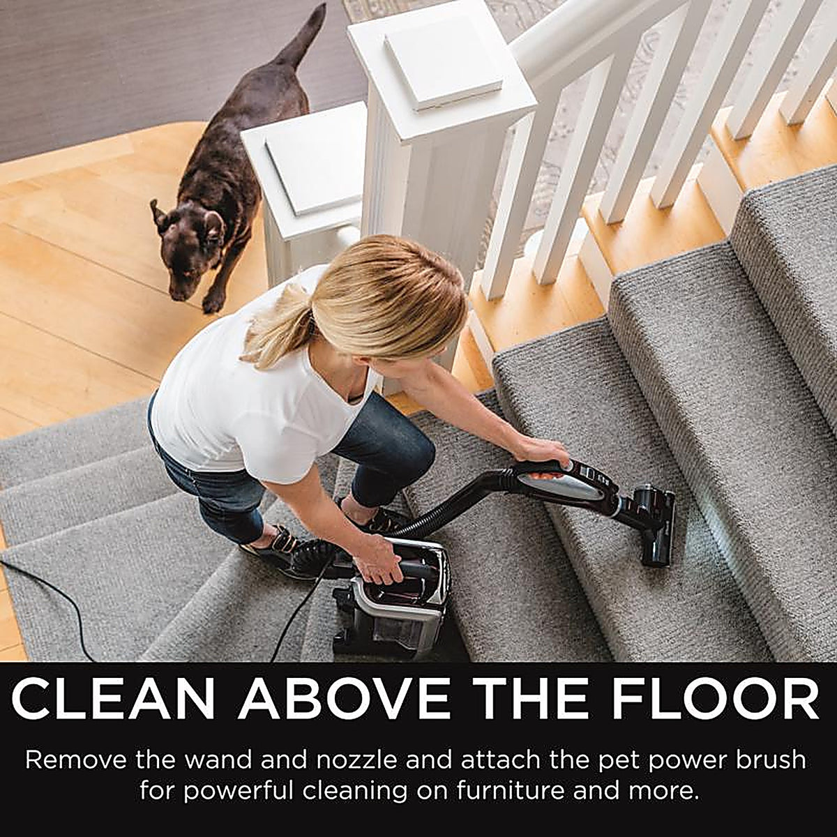 Shark - NV752 - Bagless Corded Hepa Filter Upright Vacuum