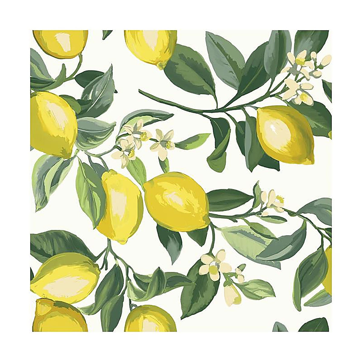 RoomMates - RMK11655WPZ - 20.5 In. W X 198 In. L Peel and Stick Wallpaper