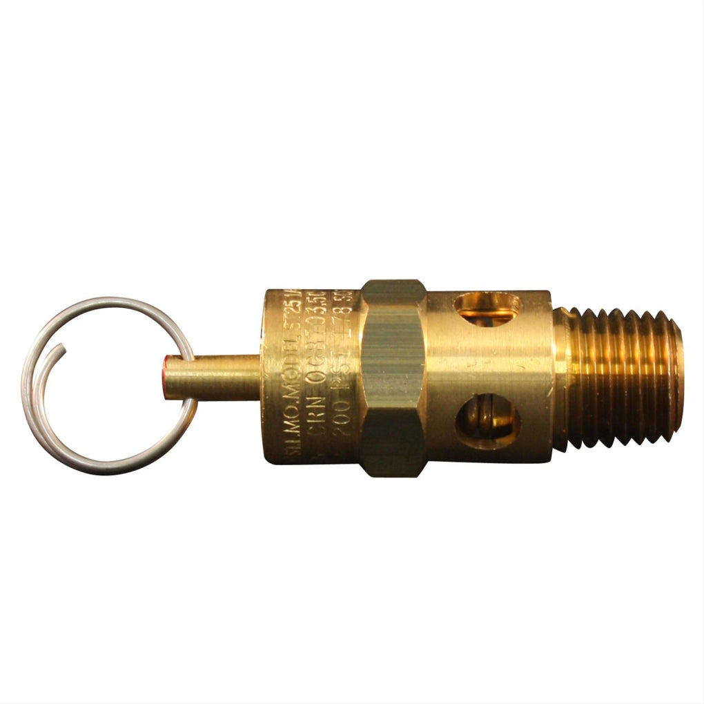Milton 1090-200 ASME Saf. Valve 1/4in. NPT 200 PSI