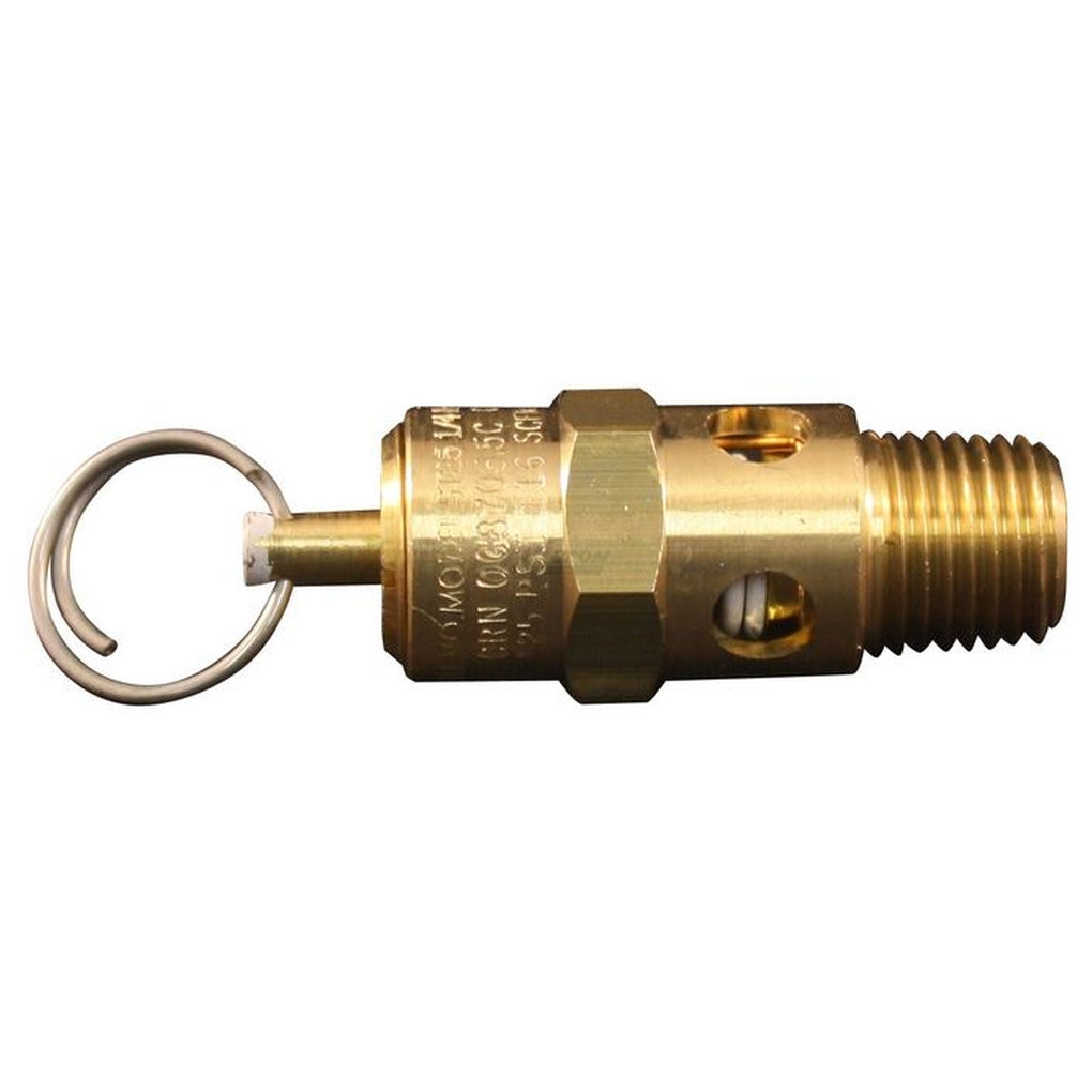 Milton 1090-125 ASME Saf. Valve 1/4in. NPT 125 PSI