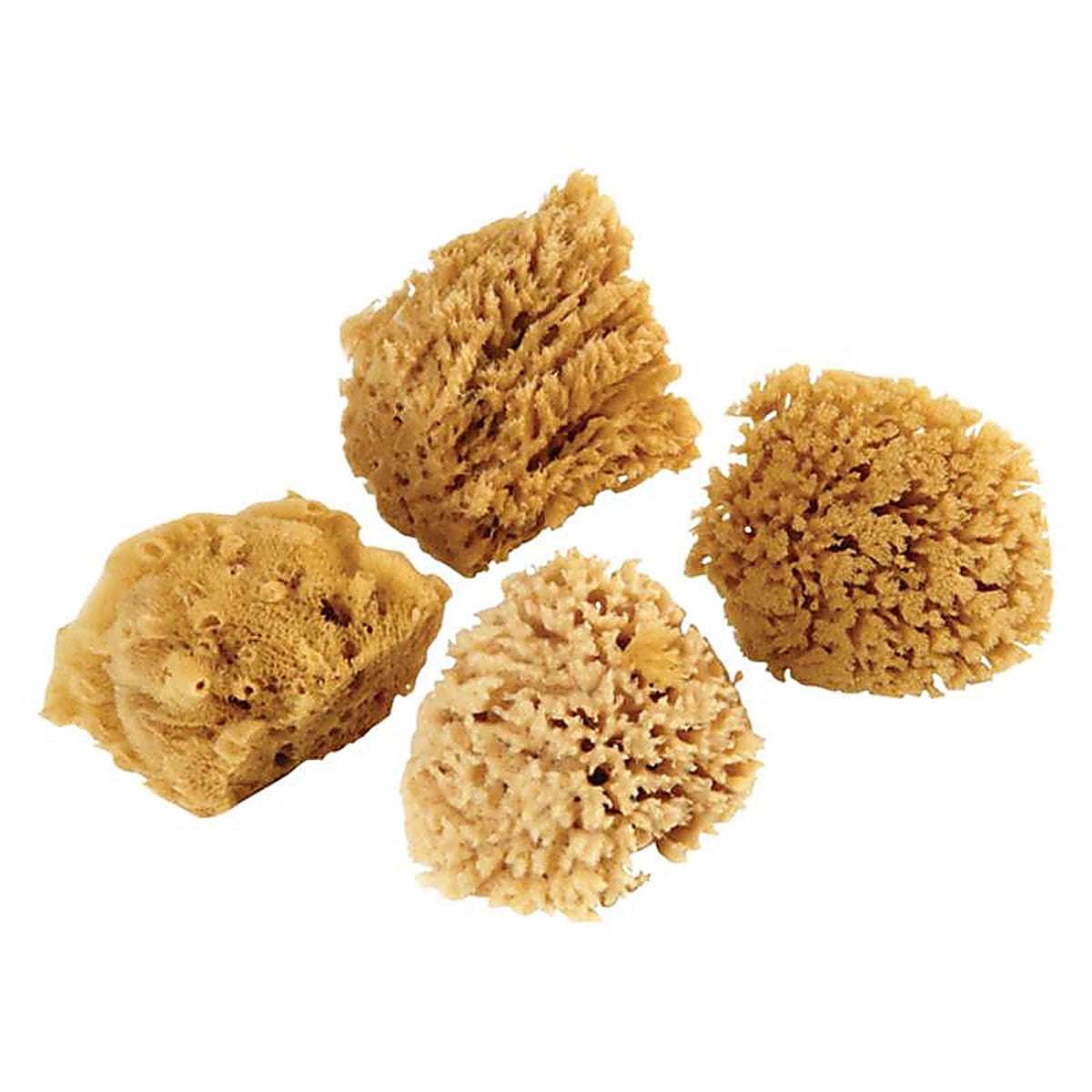 Armaly 15204 ProPlus 4 in. L Beige Natural Sponge Faux/Artist Natural Sea Sponge