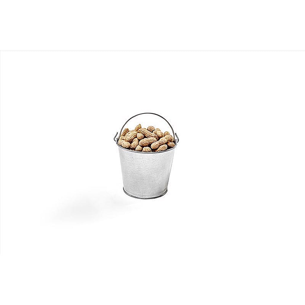 Behrens G100 2 qt. Galvanized Pail Gray