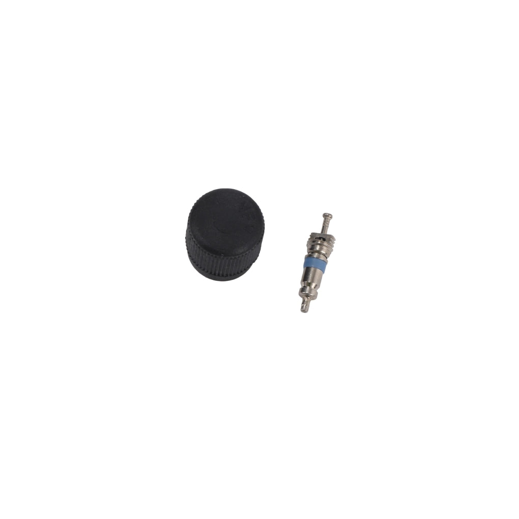 ACDelco 12570619 Fuel Injection Fuel Pressure Service Kit with Valve and Cap 12570619