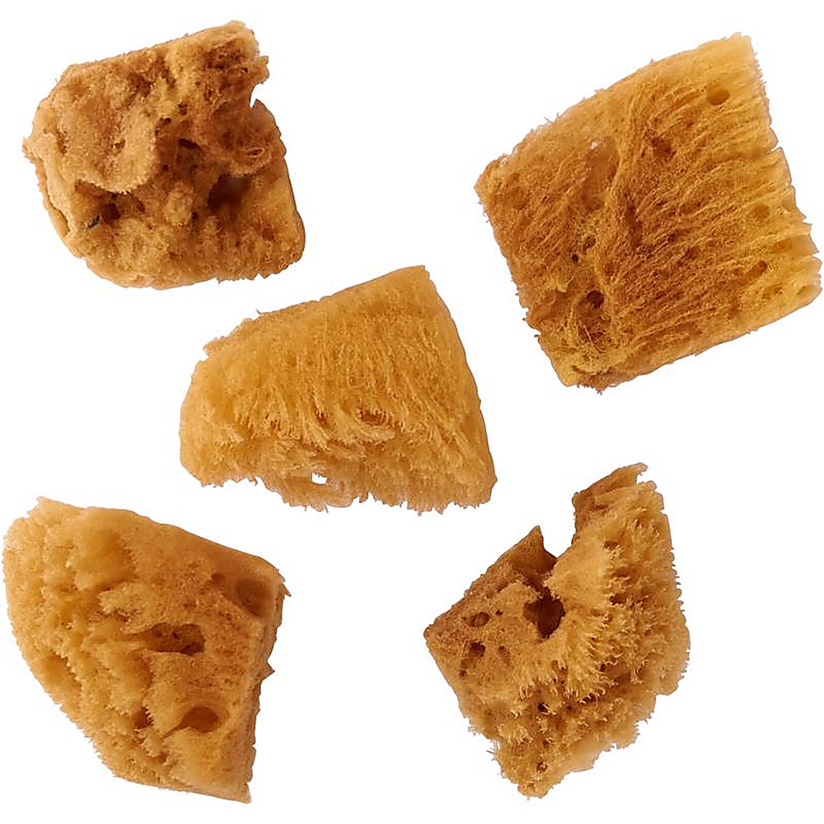 Plaid 30179R FoldArt Assorted Sea Sponge