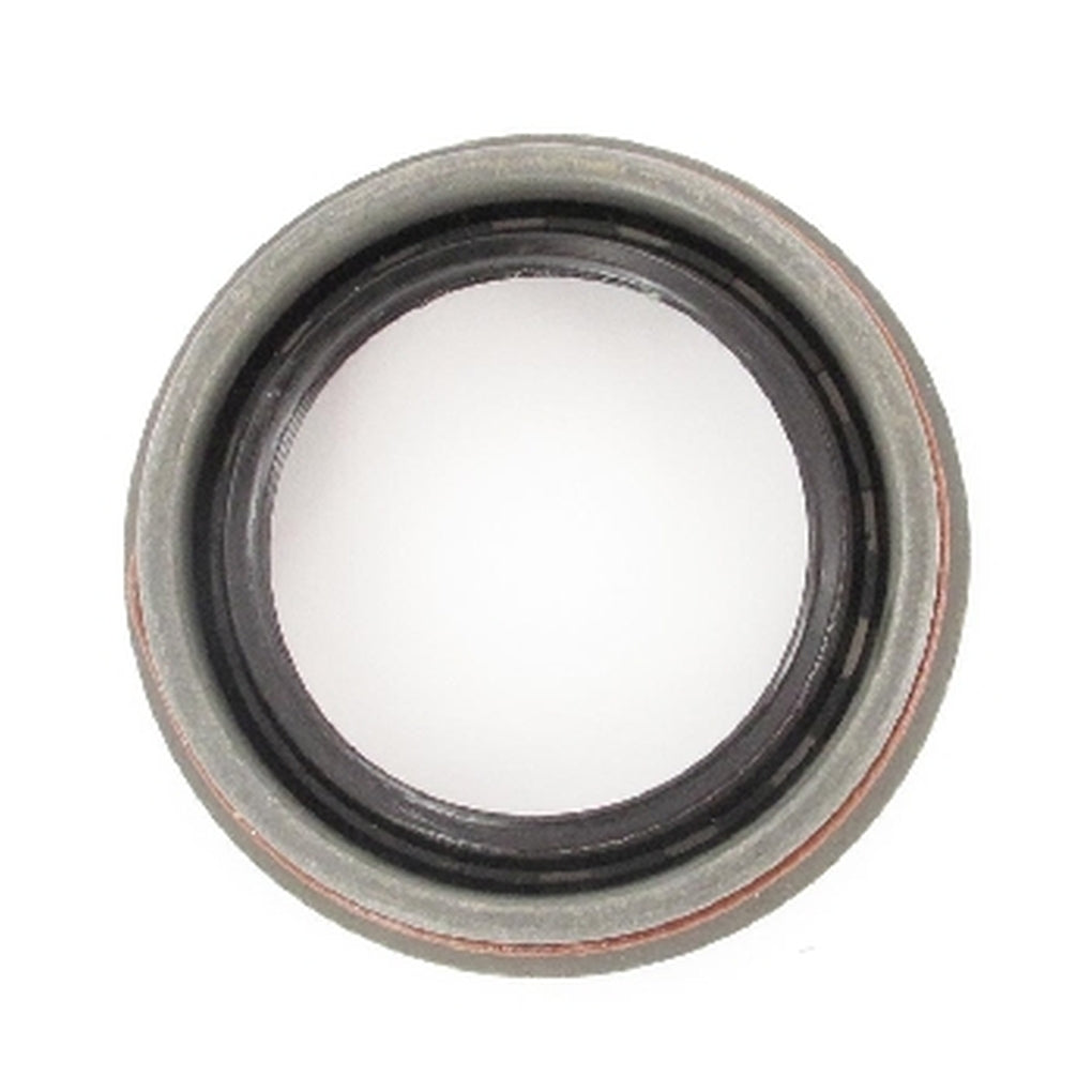 SKF 18107 Grease Seal