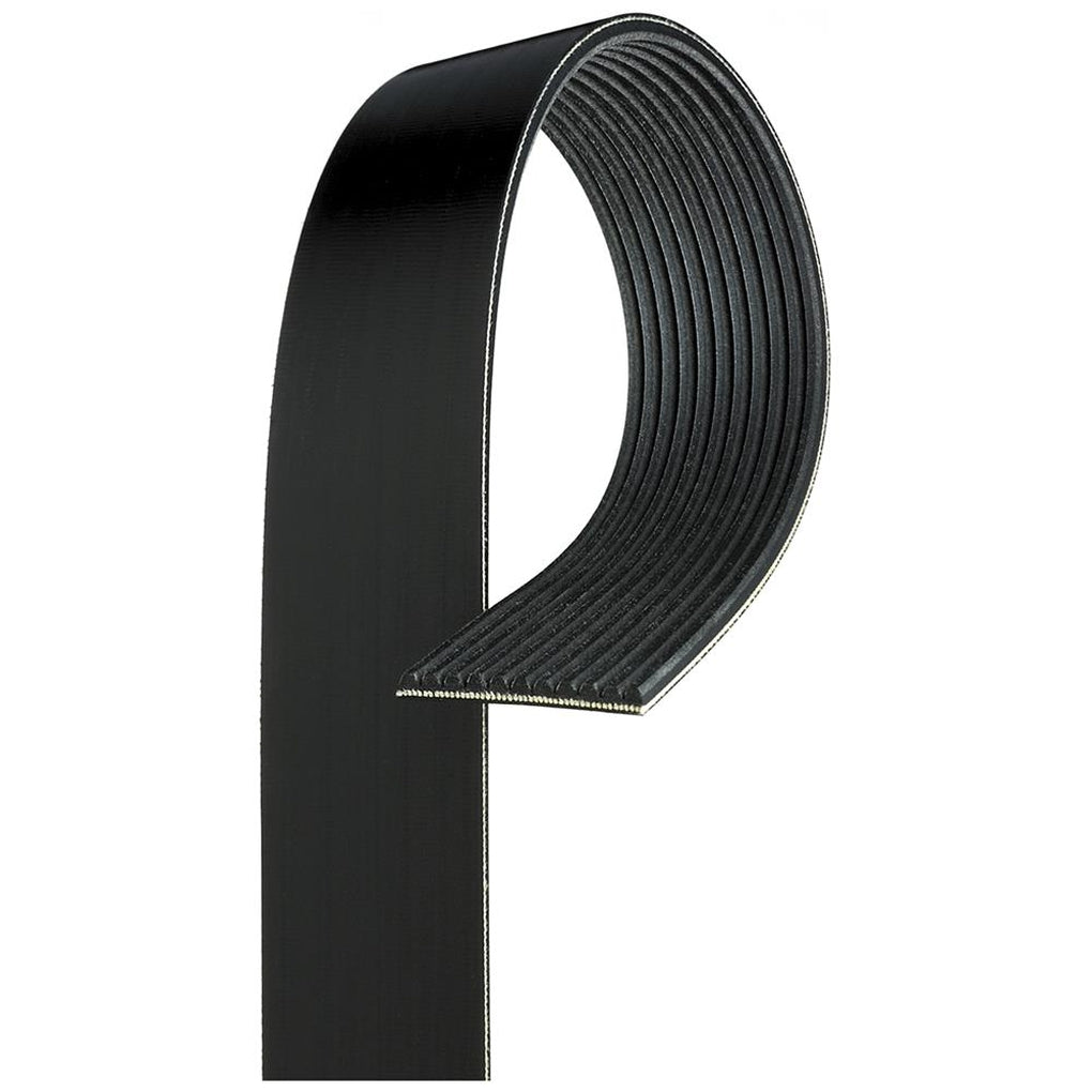 ACDelco 11K841 Gold Standard V-Ribbed Serpentine Belt 19295281