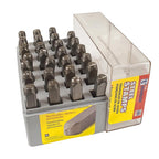 C.H. Hanson 20300 1/4 in. Letter Stamp Set 27/pc.