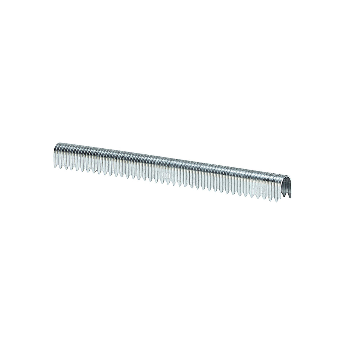 Arrow Fastener 256 T25 1/4 in. W x 3/8 in. L Round Crown Wire Staples 1100/Pack