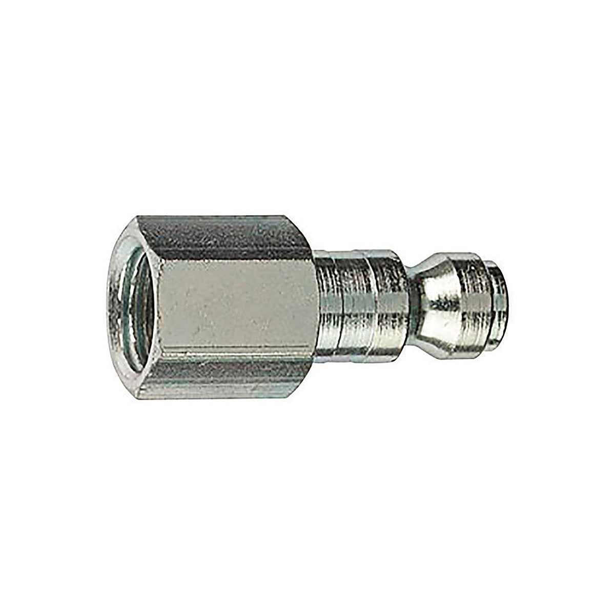 Amflo CP8 Plews Steel T Plug 1/4 in. FNPT 1/pc.