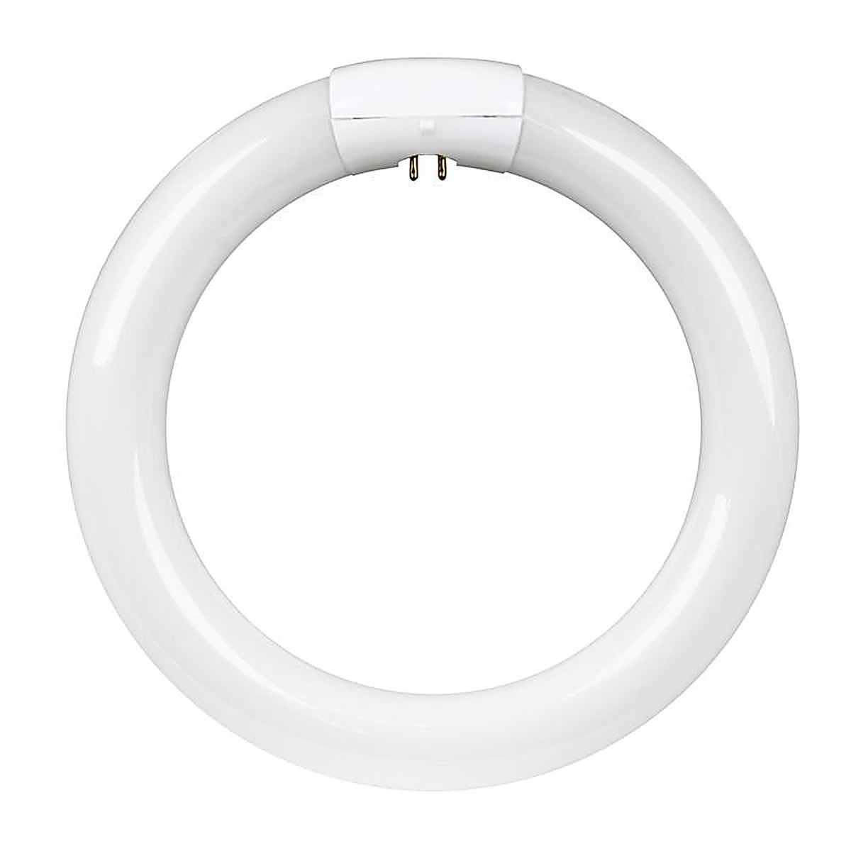 Feit Electric FC8T9/D 22 W T9 8 in. D Circline Fluorescent Bulb Daylight Linear 6500 K 1 pk