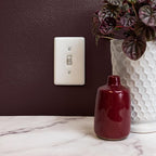 Amerelle 3000TTW Metro White 2 gang Ceramic Toggle Wall Plate 1 pk