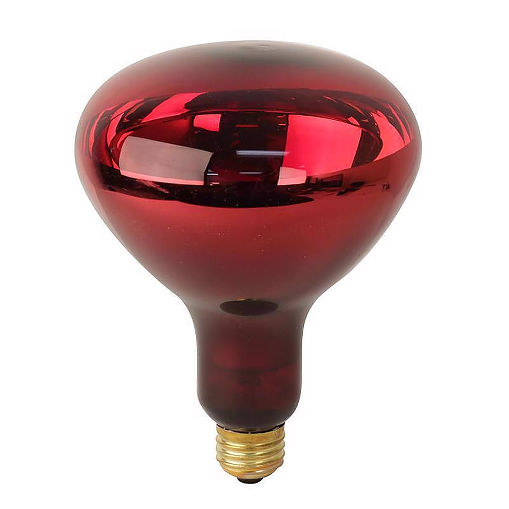 Feit - 250R40/10/RP - 250 W Br40 Heat Lamp Incandescent Bulb E26 (Medium) Red 1 Pack