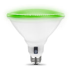 Feit Electric PAR38/RGW/CA. PAR 38 E26 (Medium) LED Bulb Color Changing 6 W 1 pk