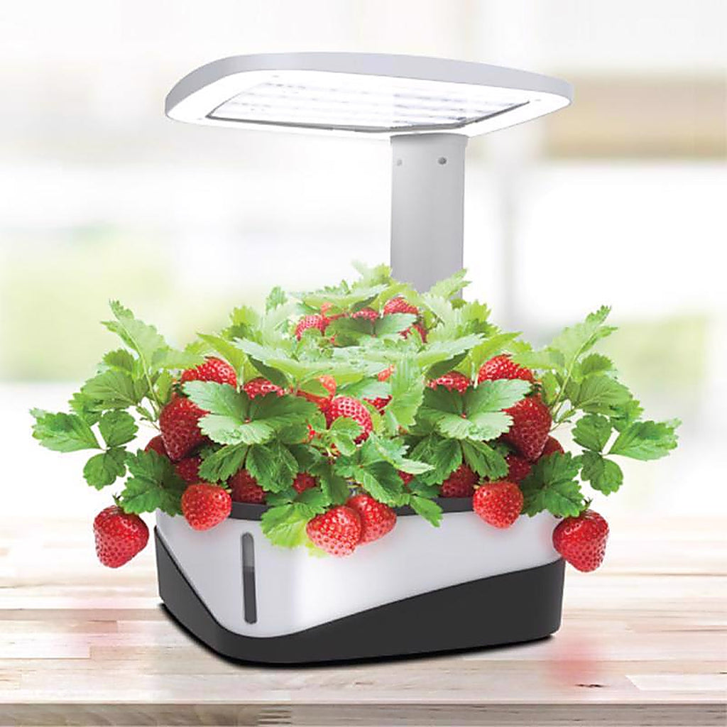 Feit Electric GLP20TABLE37LED Grow Light Stand