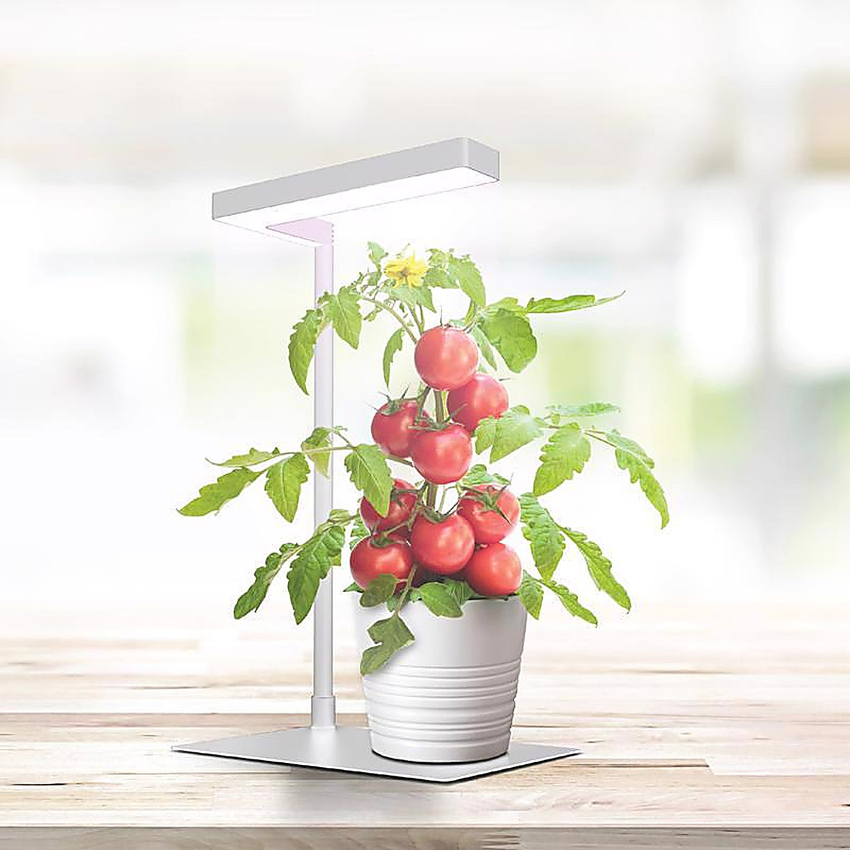 Feit Electric GLP17TABLE14LED Grow Light Stand
