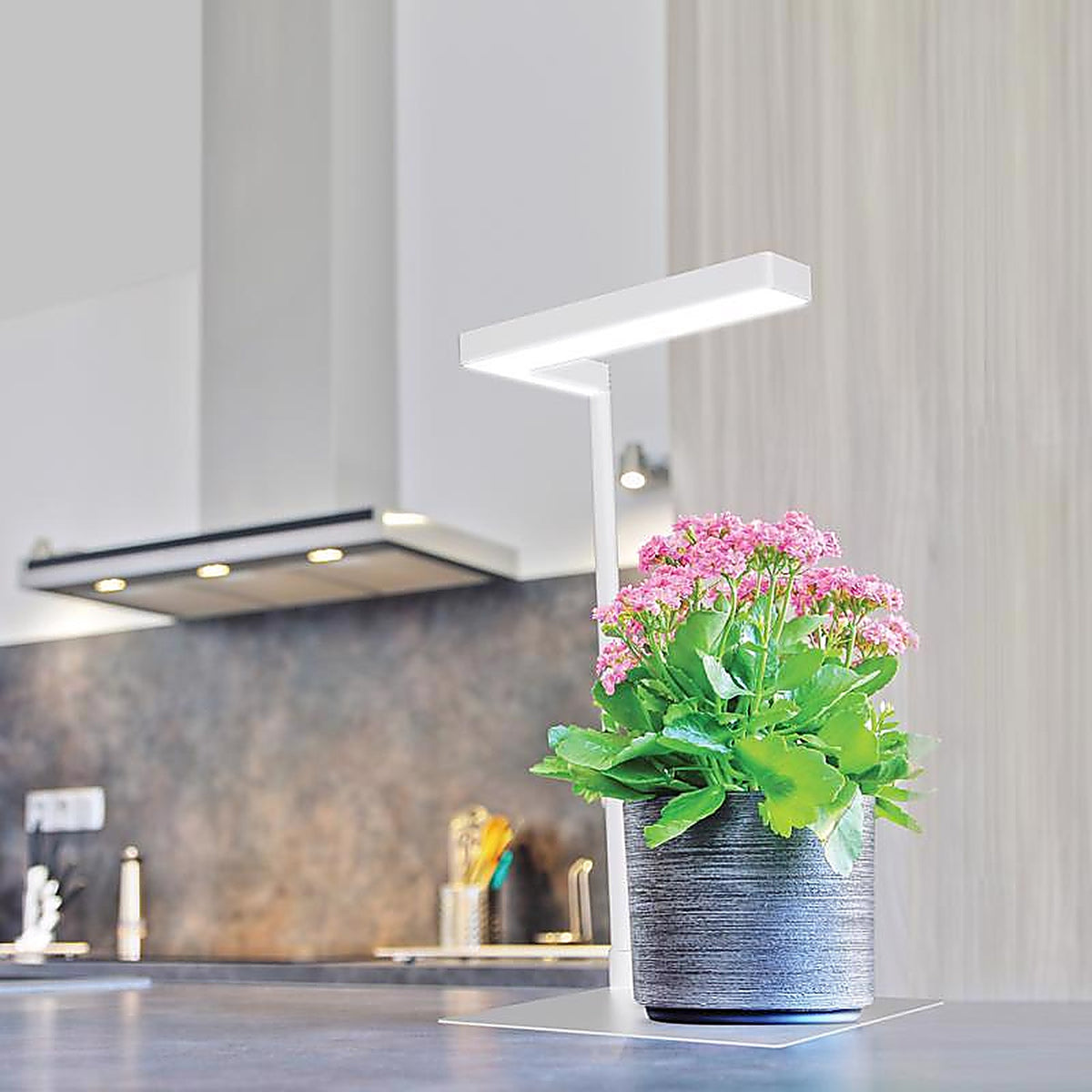 Feit Electric GLP17TABLE14LED Grow Light Stand