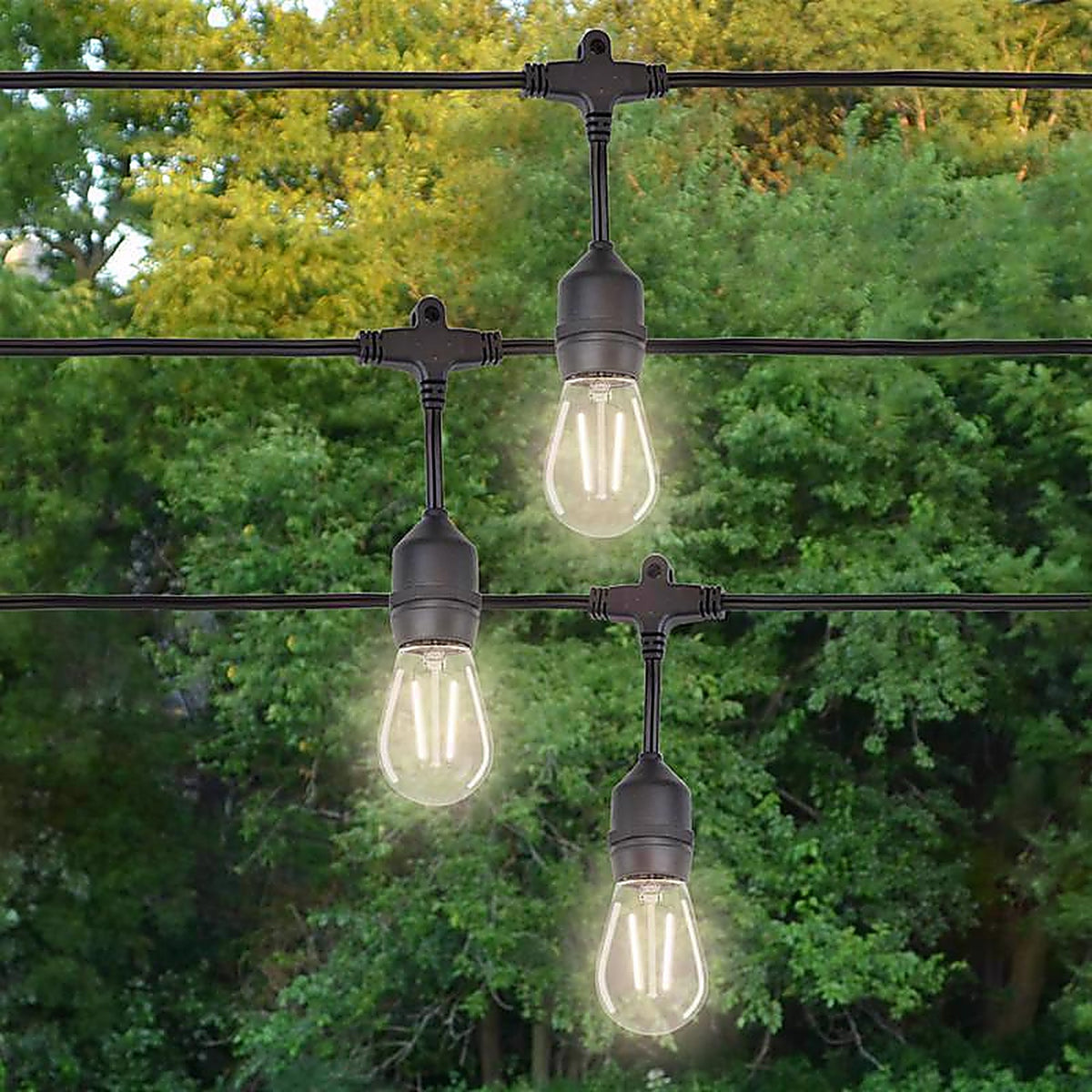 Belle Luci - 17-02006 - Holiday Bright Lights S14 E26 (Medium) Filament LED Bulb Warm White 1.5 Watt Equivalence
