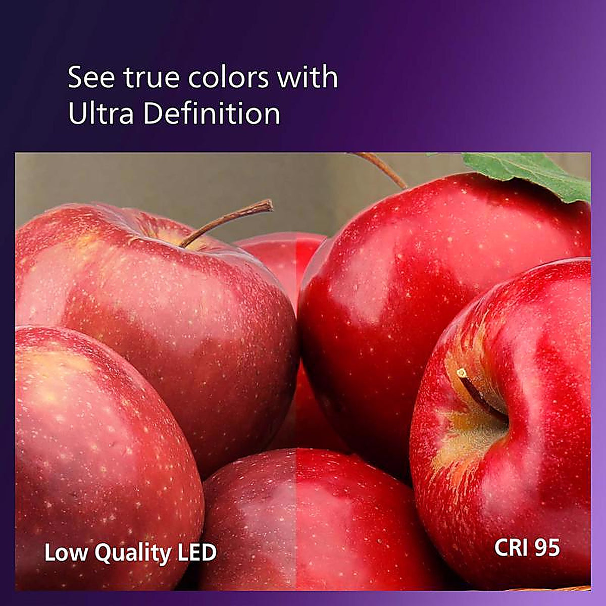 Philips - 564906 - G25 E26 (Medium) LED Bulb Soft White 60 Watt Equivalence 2 Pack