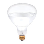 Westinghouse - 0391600 - 250 W R40 Reflector Incandescent Bulb E26 (Medium) White 1 Pack