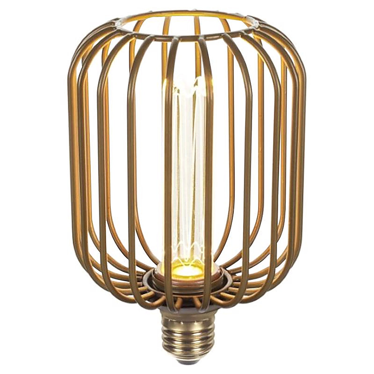 Globe Electric - 16000258 - Decorative E26 (Medium) LED Bulb Soft White 3 Watt Equivalence 1 Pack
