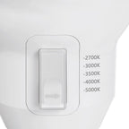 Feit - PAR38100/5CCTMM - Par38 E26 (Medium) LED Motion Activated Bulb Color Changing 100 Watt Equivalence 1 Pack
