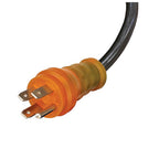 Reliance - PC5010-14R - Controls 6/3 120/240 V 10 Ft. L Generator Power Cord