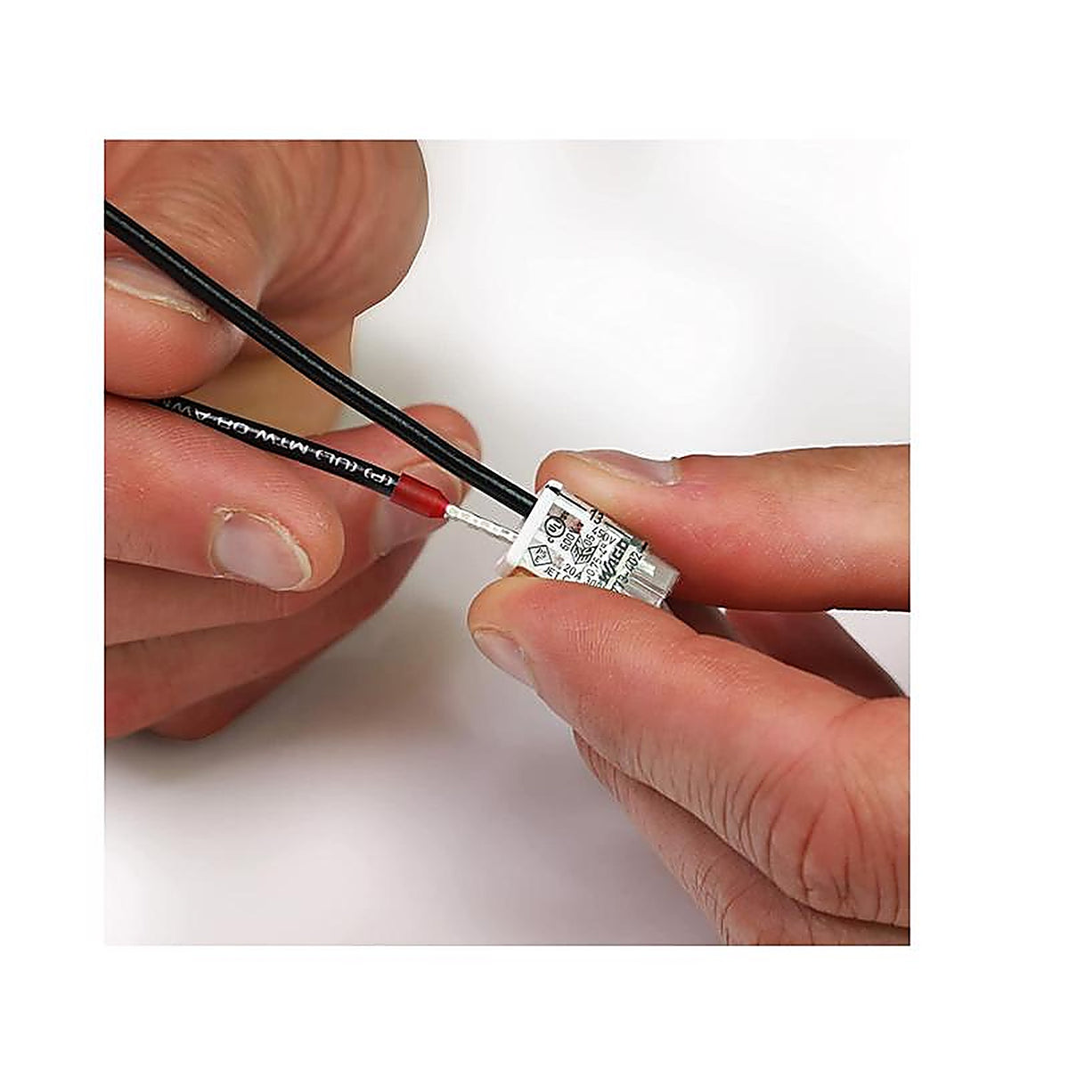 Wago - 2773-402/K-0008 - 2 Port Push-In Wire Connector 10 Pack