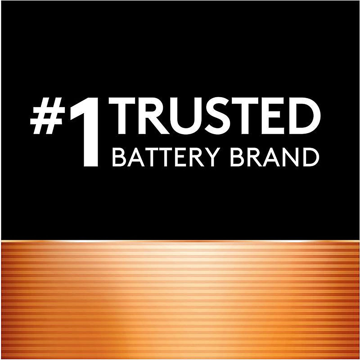 Duracell D389/390PK Silver Oxide 389/390 1.5 V 80 Ah Electronic/Watch Battery 1 pk