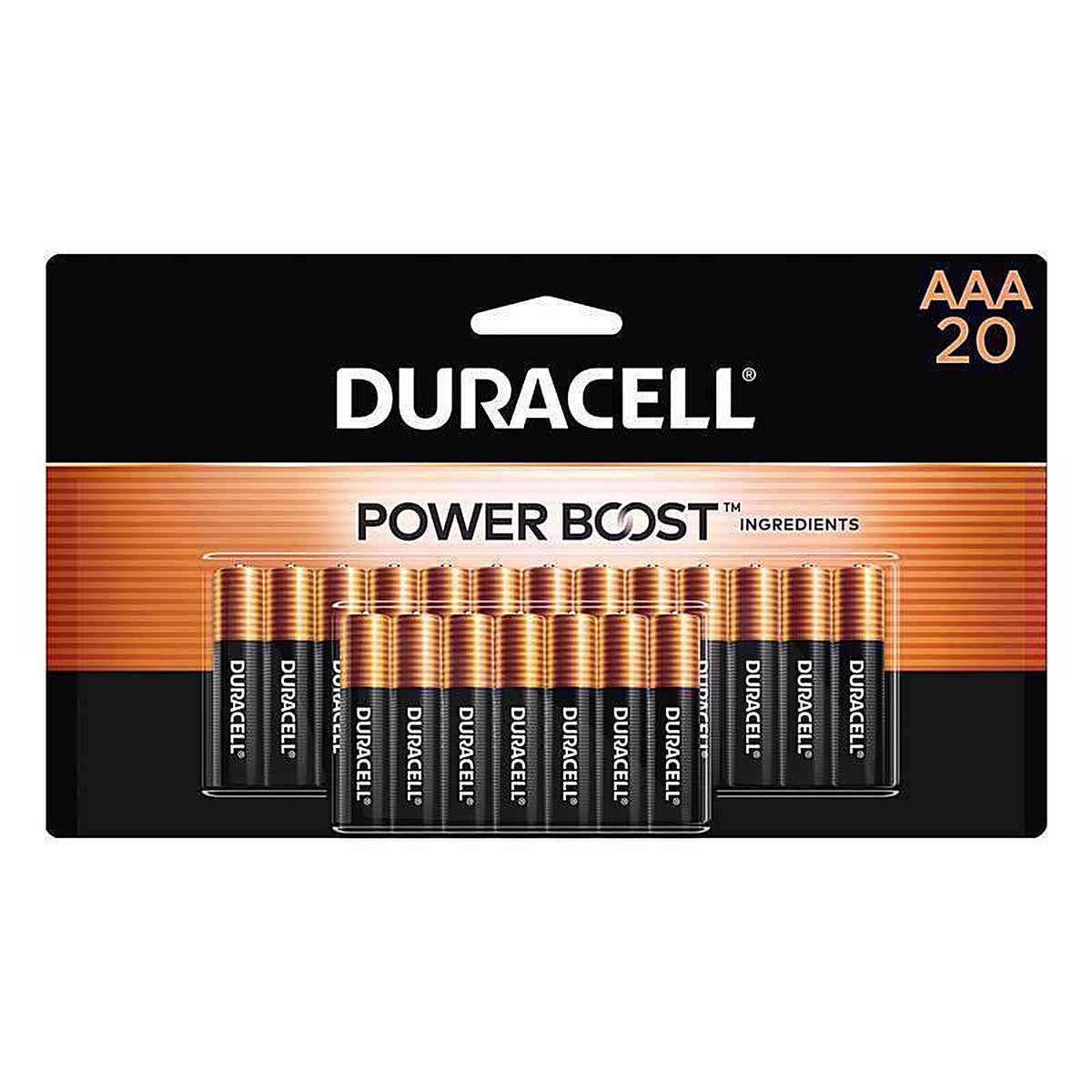 Duracell MN2400B20 Coppertop AAA Alkaline Batteries 20 pk Carded