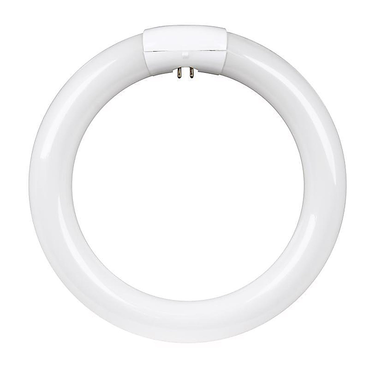 Feit - FC8T9/CW - Legacy Bulbs 22 W T9 8.3 In. D X 8.3 In. L Circline Fluorescent Bulb Cool White Circular 4100 K
