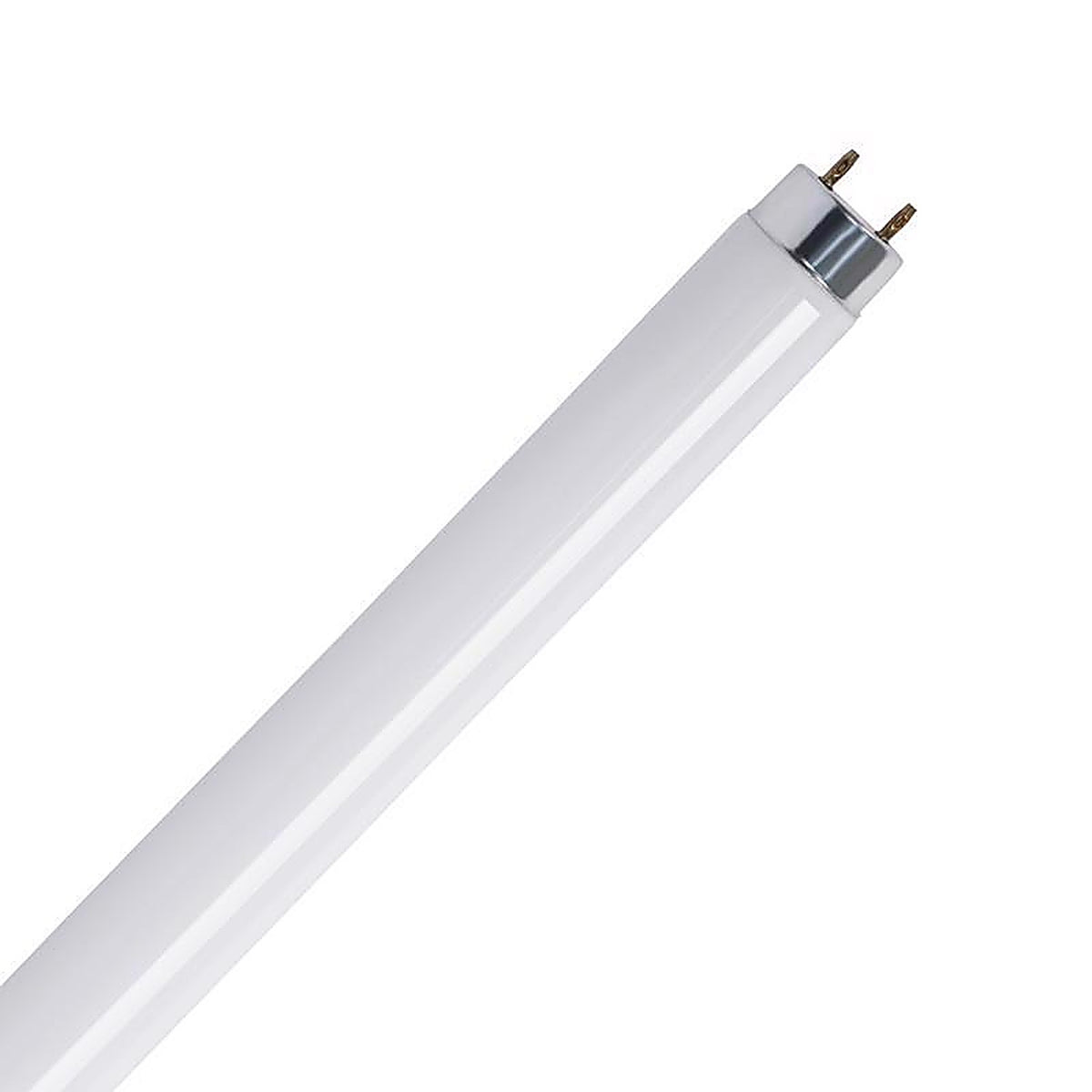 Feit - F15T8/CW/RP - Legacy Bulbs 15 W T8 1.1 In. D X 17.7 In. L Fluorescent Bulb Cool White Linear 4100 K 1 Pack