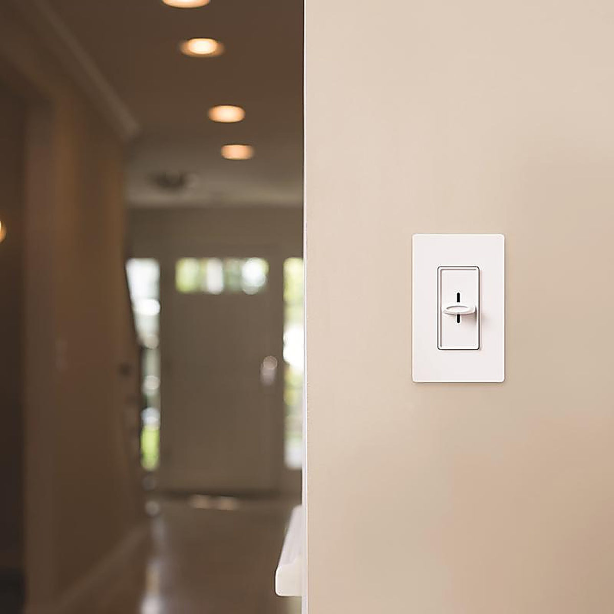 Lutron - SK-DK - Skylark Slide Dimmer Slide Switch 2 Pack