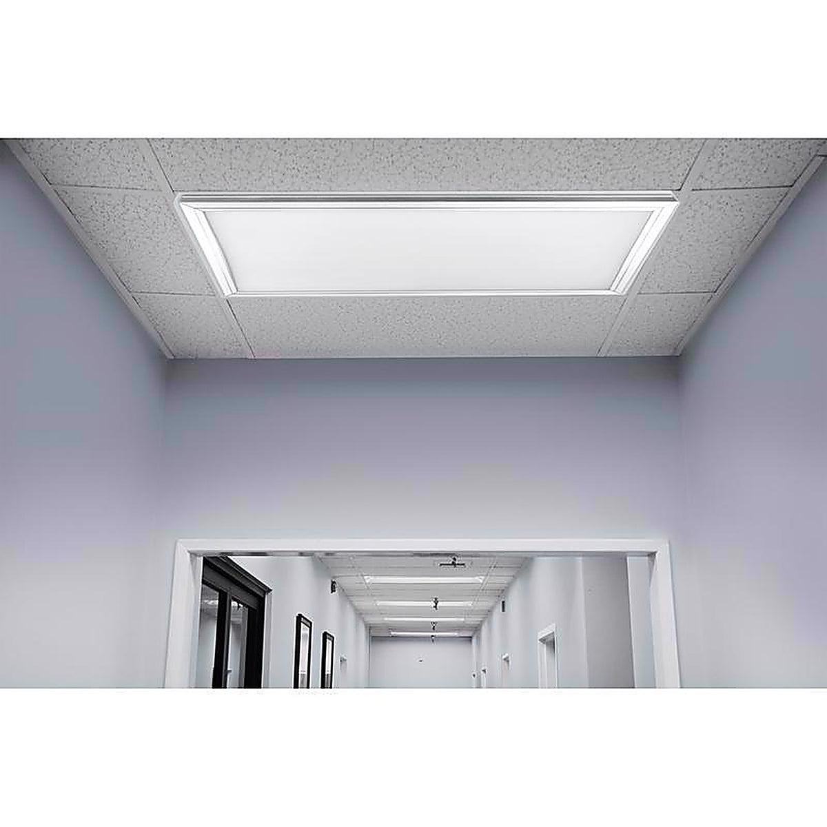 Feit Electric FP1X2/6WY/NK 2 in. H X 24 in. W X 12 in. L Brushed Nickel LED Flat Panel Light Fixture