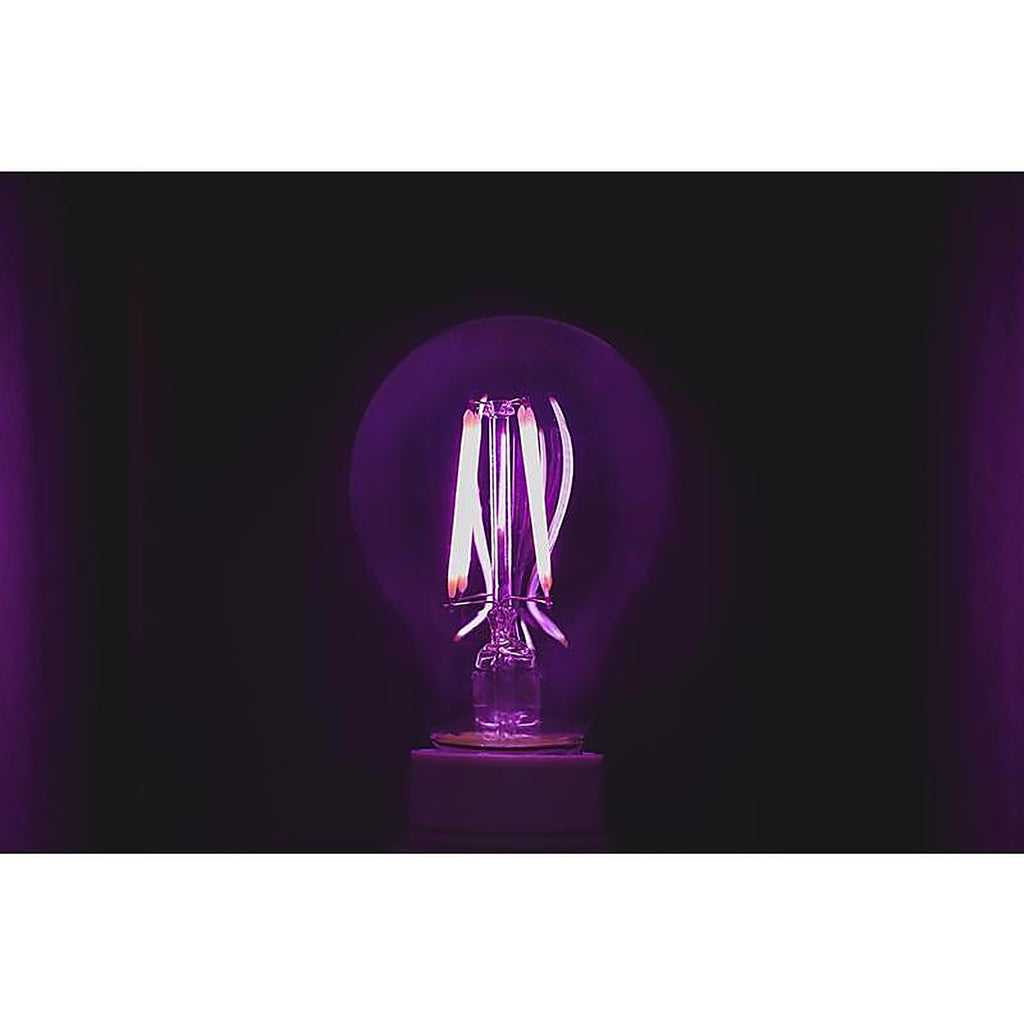 Feit Electric A19/TP/LED Filament A19 E26 (Medium) LED Bulb Purple 30 W 1 pk