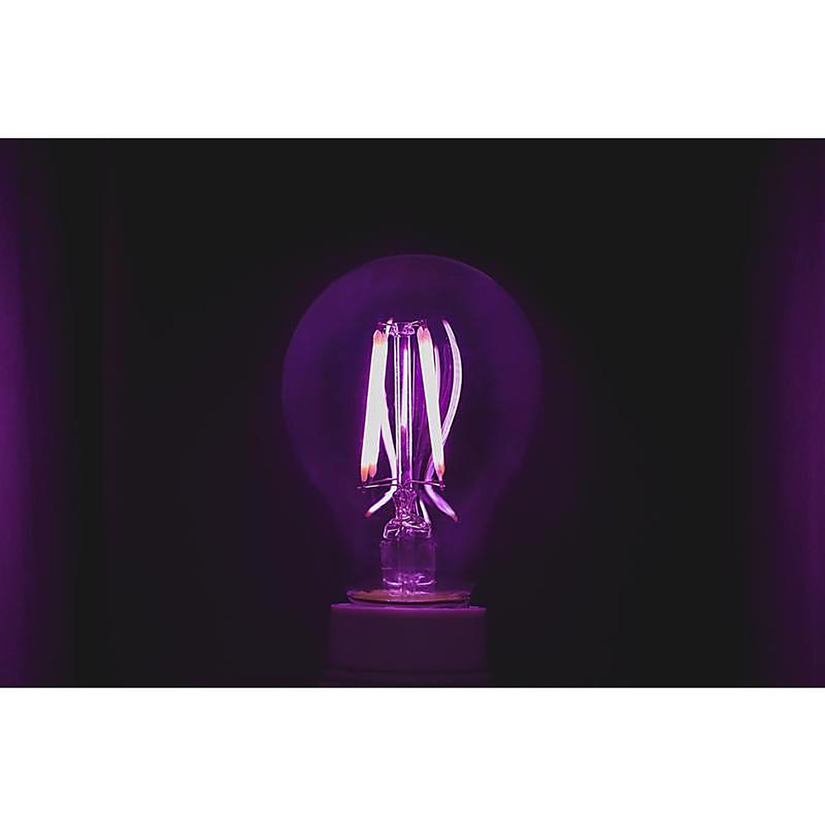Feit Electric A19/TP/LED Filament A19 E26 (Medium) LED Bulb Purple 30 W 1 pk