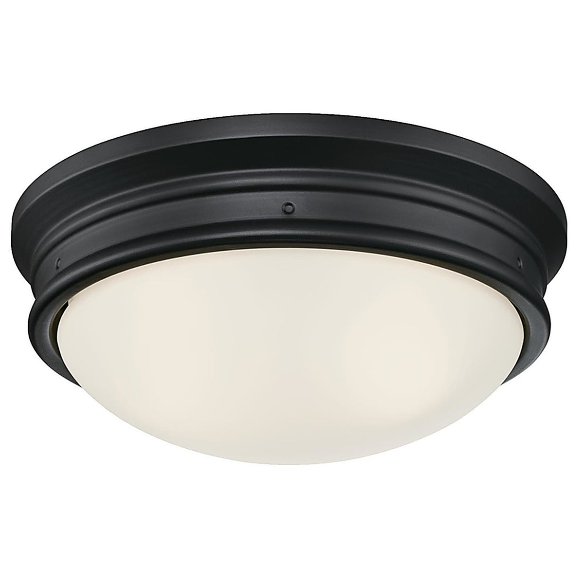 Westinghouse 63241 Meadowbrook Switch Incandescent Matte Black Wall Pack Light Fixture Hardwired