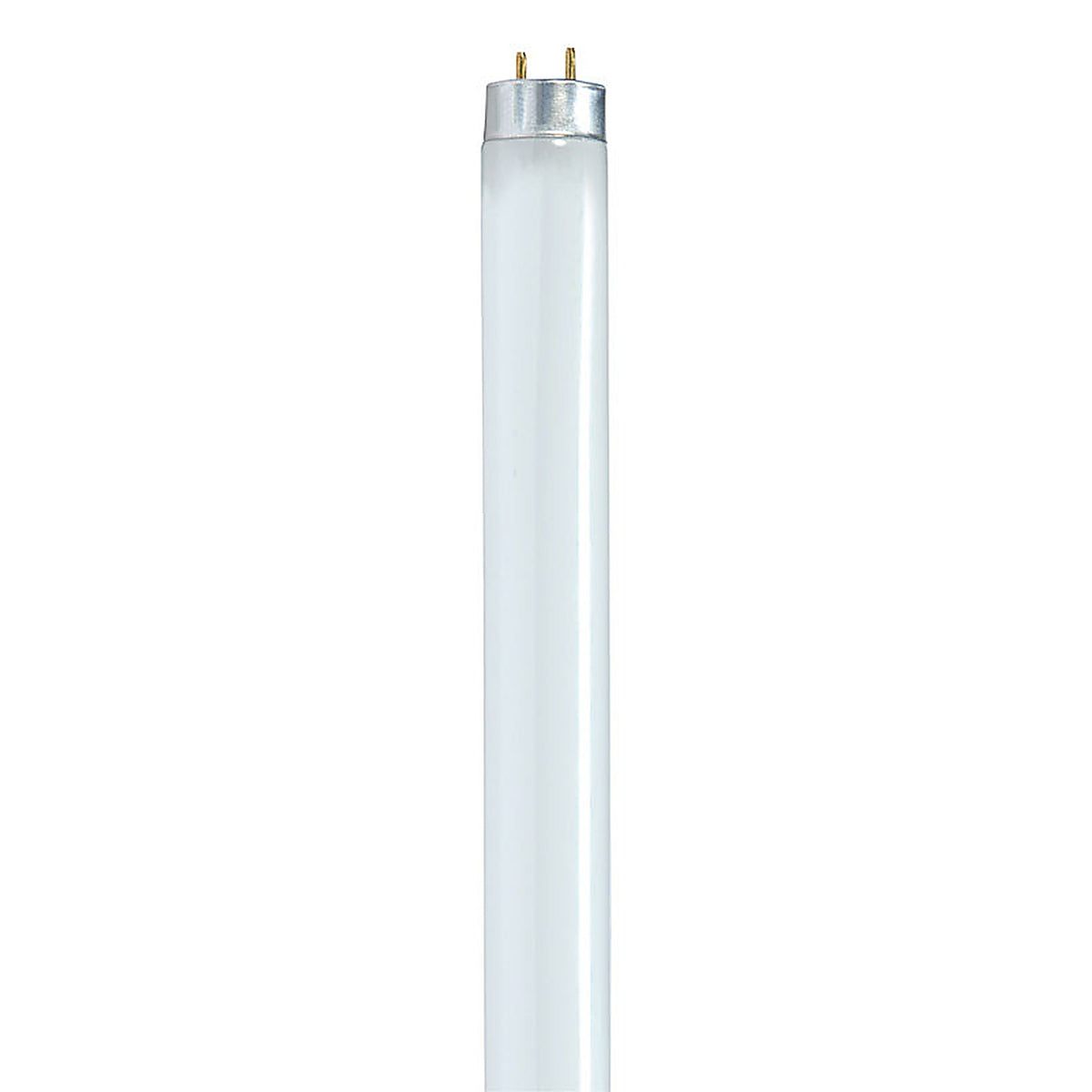 Satco - S8406 - 17 W T8 1 In. D X 23.78 In. L Fluorescent Bulb Cool White Linear 4100 K 1 Pack