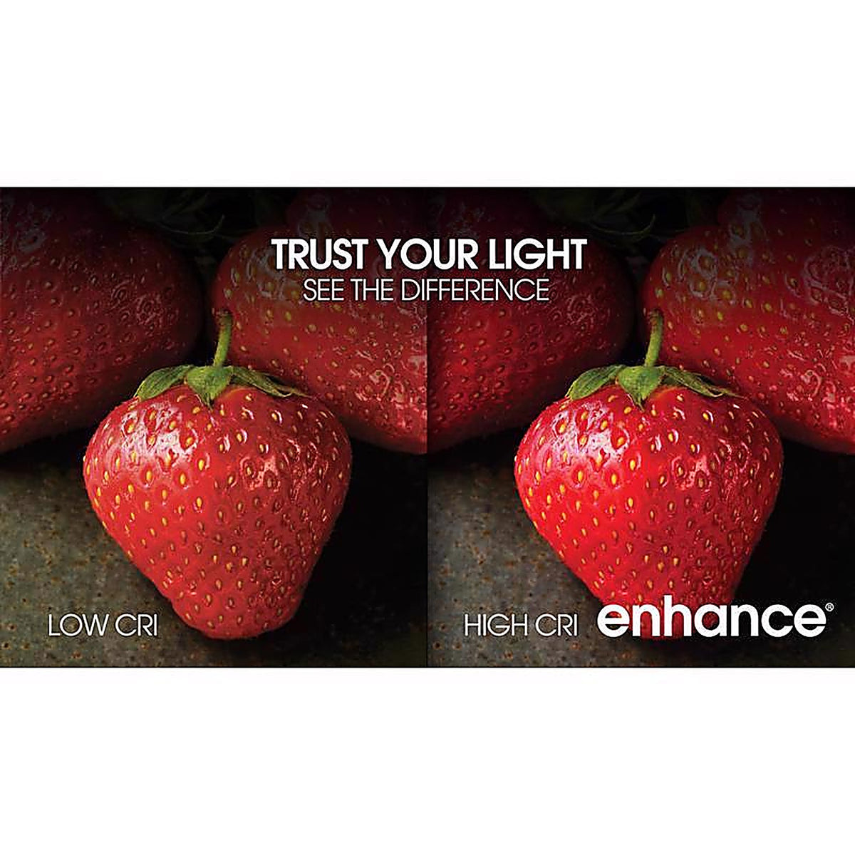 Feit Electric BPA1540W95CAFL2 Enhance A15 E26 (Medium) Filament LED Bulb Daylight 40 W 2 pk