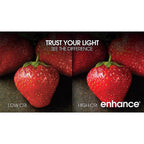 Feit Electric BPG2560950CAFLR Enhance G25 E26 (Medium) Filament LED Bulb Daylight 60 W 1 pk
