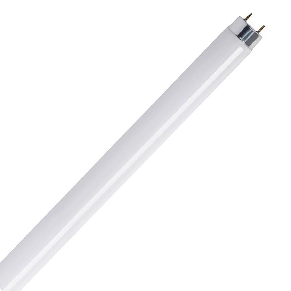 Feit - F17T8/41K/2 - Legacy Bulbs 17 W T8 1 In. D X 23.8 In. L Fluorescent Bulb Cool White Linear 4100 K 2 Pack
