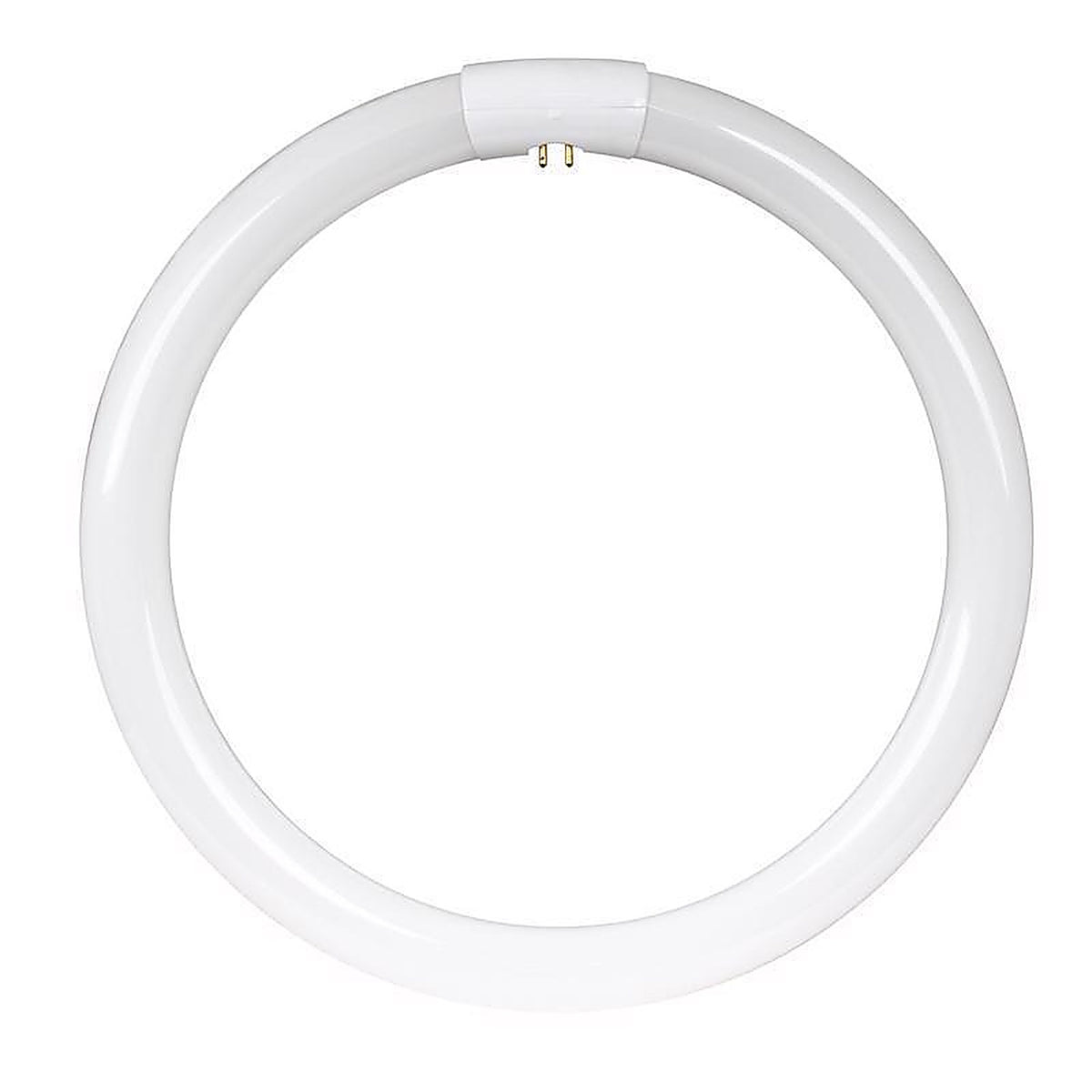 Feit Electric FC12T9/WW 32 W T9 12 in. D X 12 in. L Circline Fluorescent Bulb Warm White Circular 3000 K 1 pk