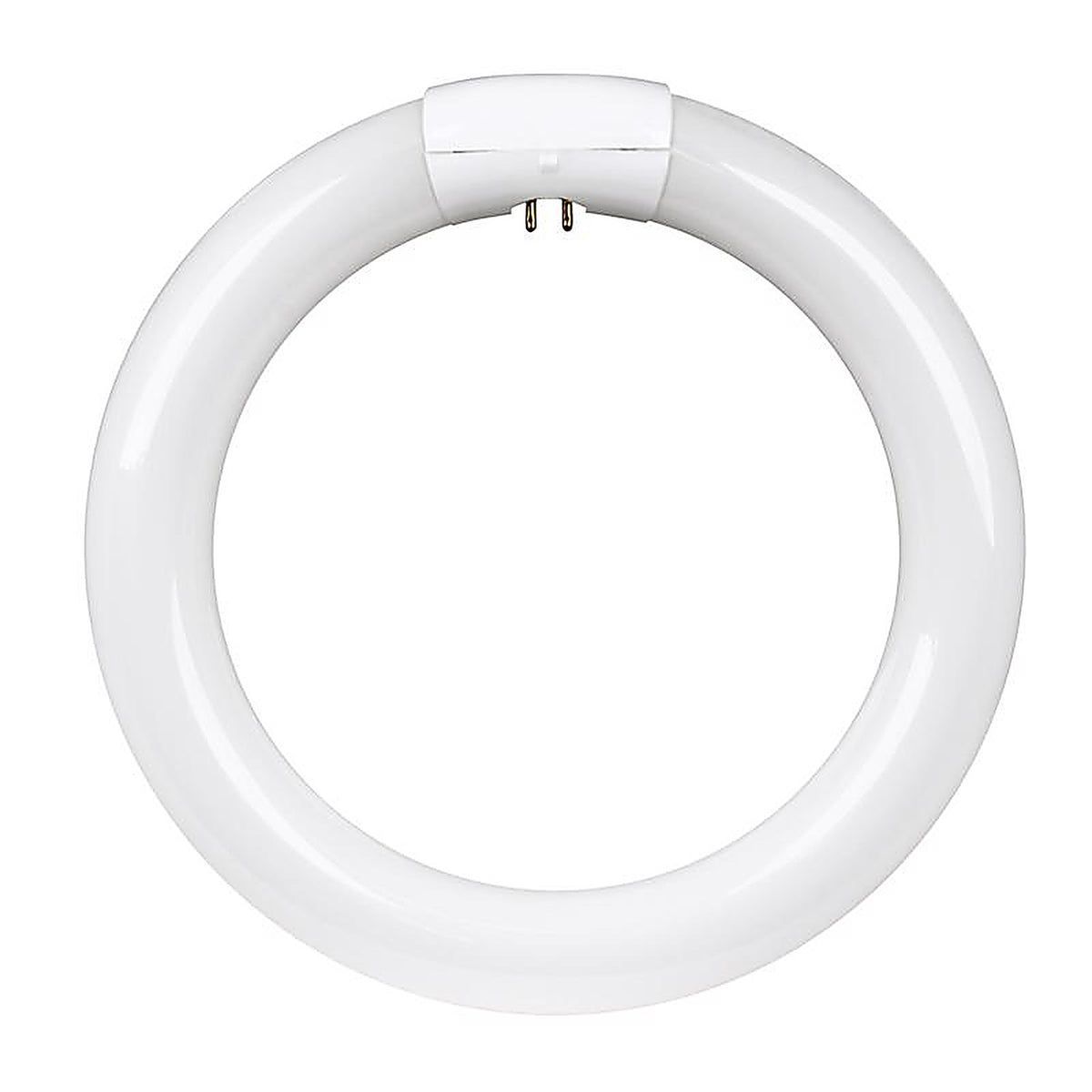 Feit Electric FC8T9/WW 22 W T9 8 in. L Circline Fluorescent Bulb Warm White Linear 3000 K 1 pk