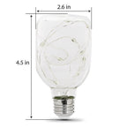 Feit Electric FY/SQ/RGB/LED Fairy Square E26 (Medium) LED Bulb Multi-Colored 1 pk