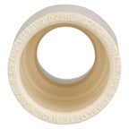 Charlotte Pipe CTS021001800 FlowGuard SDR 11 3/4 in. Socket x 1/2 in. Dia. Socket CPVC Reducing Coupling