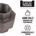 STZ Industries 310UPU-12 1/2 in. FIP each X 1/2 in. D FIP Black Malleable Iron Union