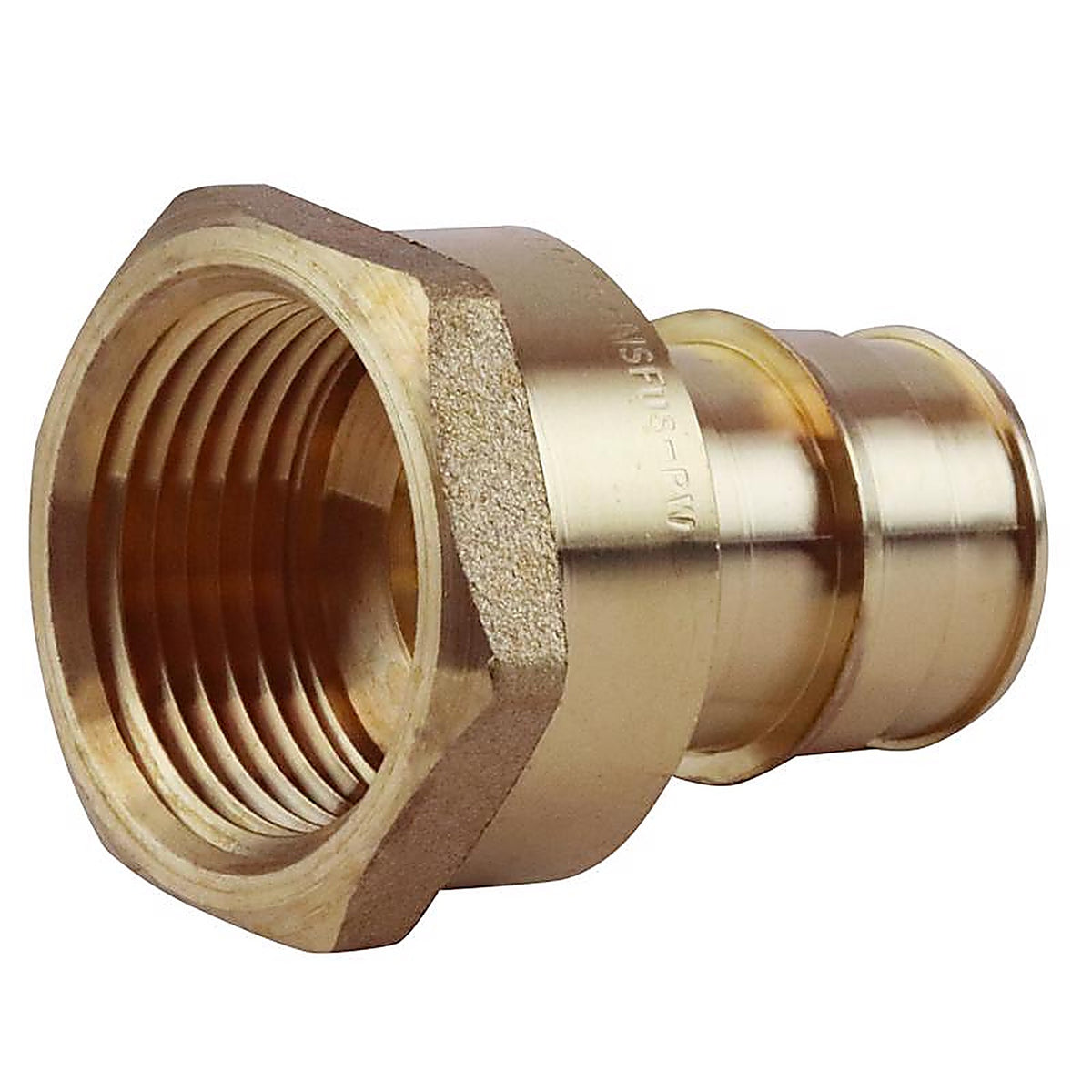 Apollo EPXFA3434 PEX-A 3/4 in. Expansion PEX in to T X 3/4 in. D FNPT Brass Adapter