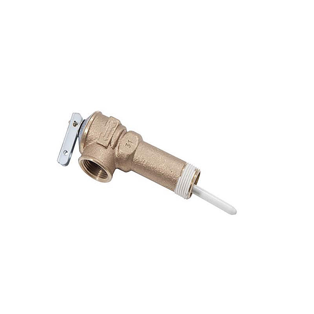 Reliance 100108601 2-1/2 in. MNPT Relief Valve 1/pc.